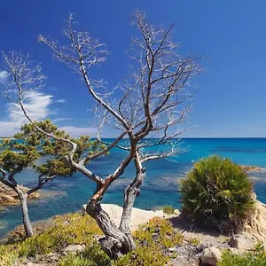 Ferienhaus Vera Trifamigliare Con Ingresso Diretto 20 Mt Al Mare Clima Wi-fi Bbq, Cala Liberotto